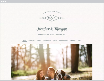 Vintage Mountain Teal design